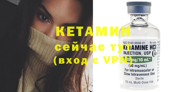 индика Кулебаки