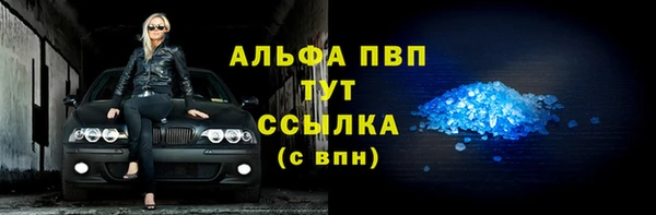 индика Кулебаки