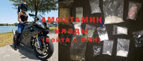 индика Кулебаки