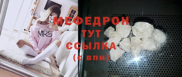 индика Кулебаки