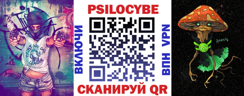 где можно купить   MEGA рабочий сайт  Галлюциногенные грибы Psilocybine cubensis  Фрязино 